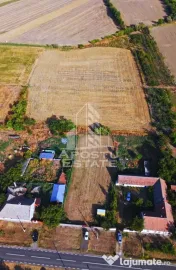 Teren intravilan de vanzare la Foeni, 13200 mp, front 24 m, Timis 