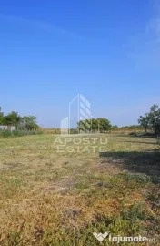 Teren intravilan de vanzare la Foeni, 13200 mp, front 24 m, Timis 