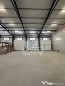 Hala cu acces tir, 600 MP Mosnita noua