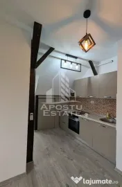 Apartament de inchiriat, 2 camere, Dumbravita la vila 