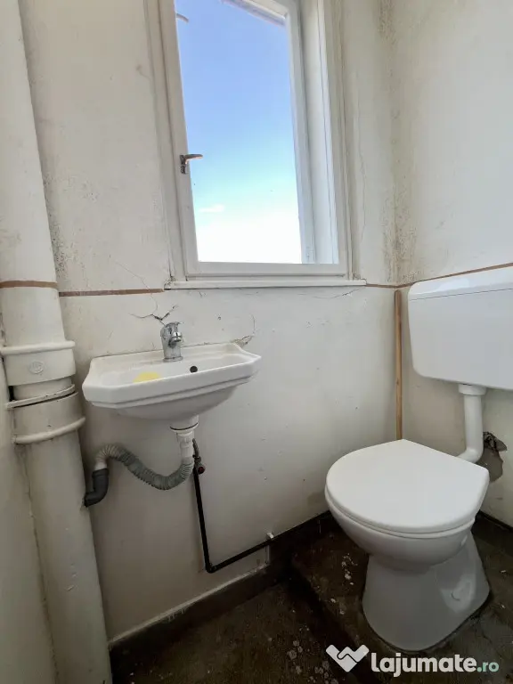 Apartament 4 camere, circular, 126 mp utili, etaj 1 - Zona - Timisoara (Timis)