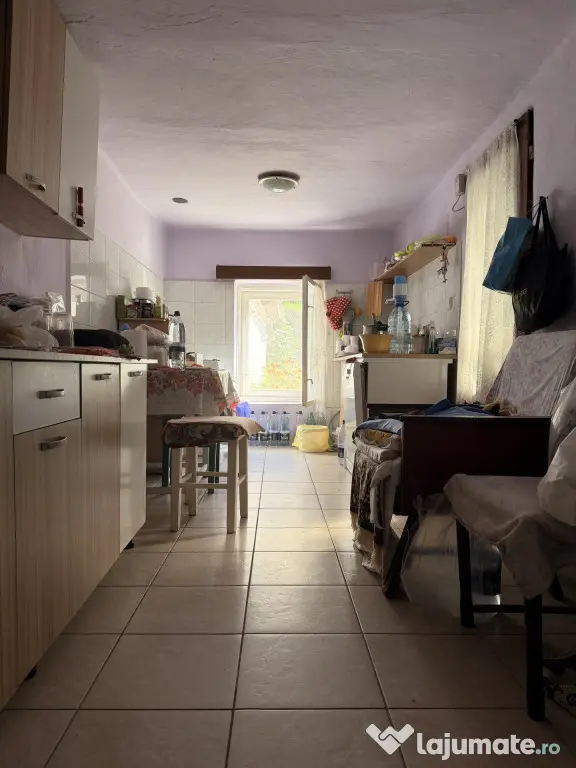 Casa individuala, 200 mp utili, 1005 mp gradina , anexe - Sa - Sag (Timis)