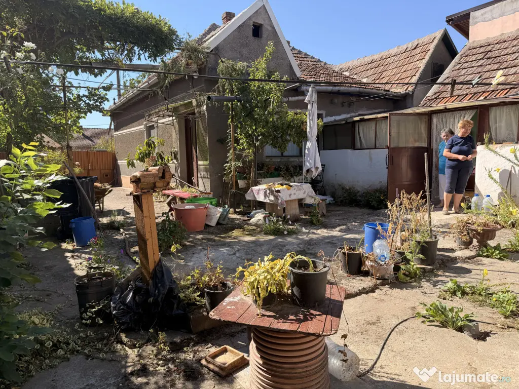 Casa individuala, 200 mp utili, 1005 mp gradina , anexe - Sa - Sag (Timis)