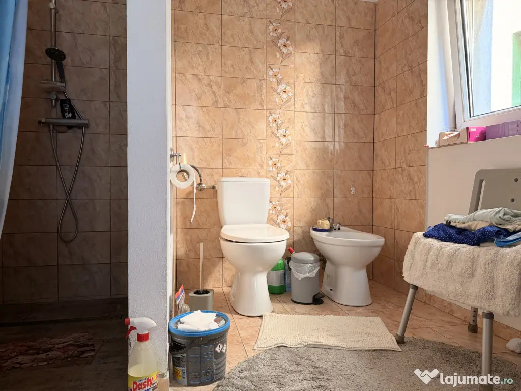 Casa individuala, 200 mp utili, 1005 mp gradina , anexe - Sa - Sag (Timis)