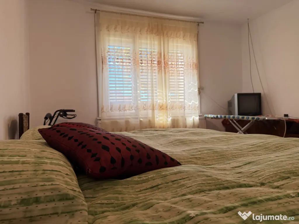 Casa individuala, 200 mp utili, 1005 mp gradina , anexe - Sa - Sag (Timis)