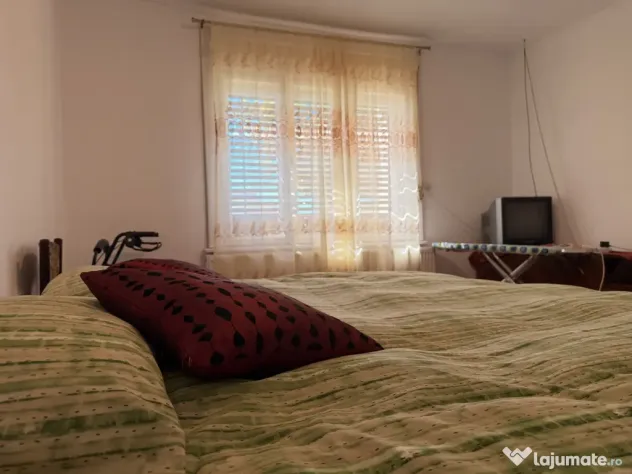 Casa individuala, 200 mp utili, 1005 mp gradina , anexe - Sa - Sag (Timis)