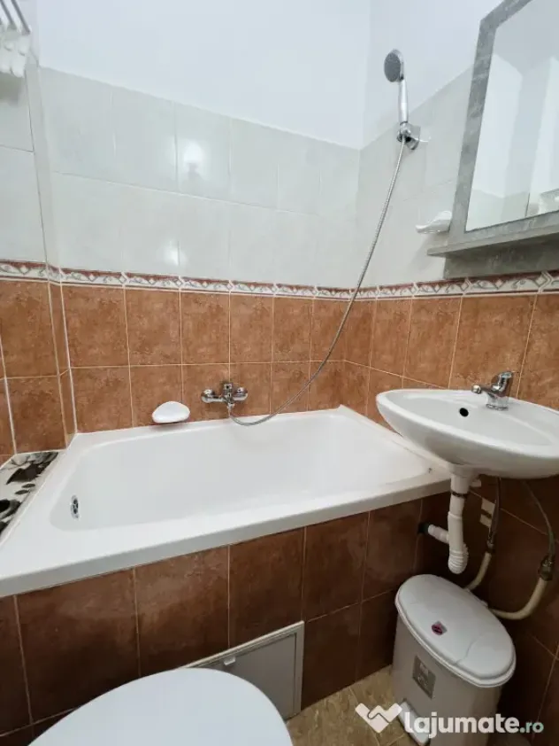 Garsoniera 20mp, mobilata- zona Bogdanestilor Timisoara - Timisoara (Timis)