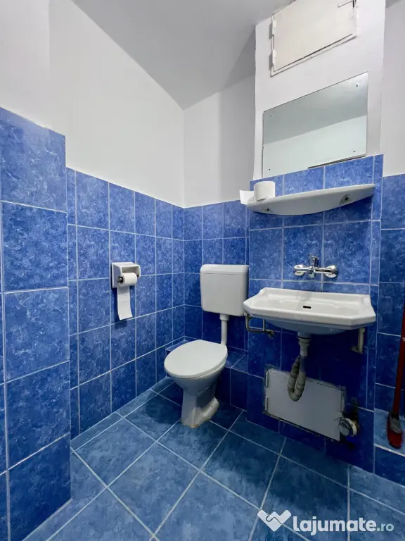 Apartament spatios, 3 camere, decomandat, 65 mp utili - Mod - Timisoara (Timis)