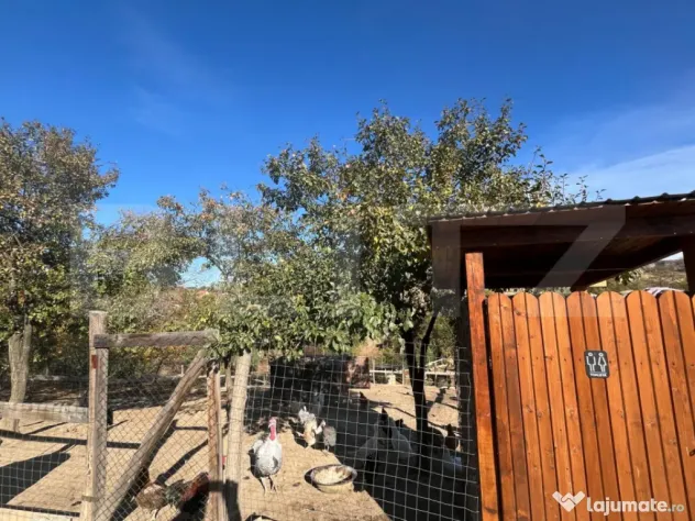 Casă A-Frame cu godpodarie completă și proprietate deoseb - Hotar (Bihor)