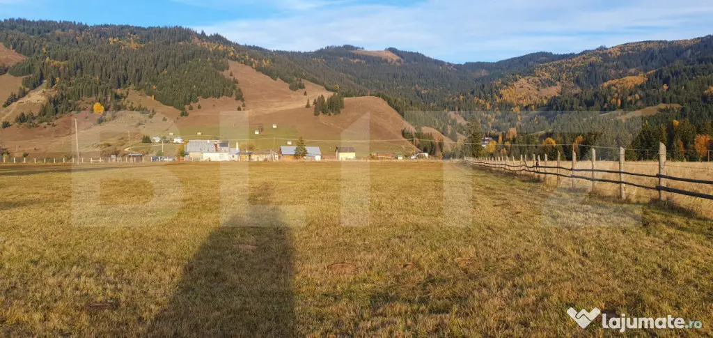 Teren extravilan, 9031 mp, zona Panaci - Vatra Dornei - Vatra Dornei (Suceava)