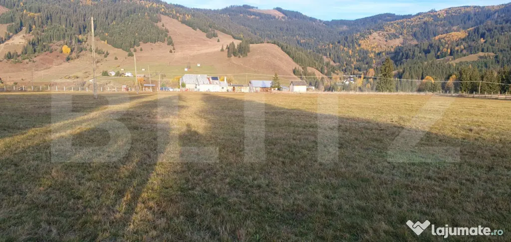 Teren extravilan, 9031 mp, zona Panaci - Vatra Dornei - Vatra Dornei (Suceava)