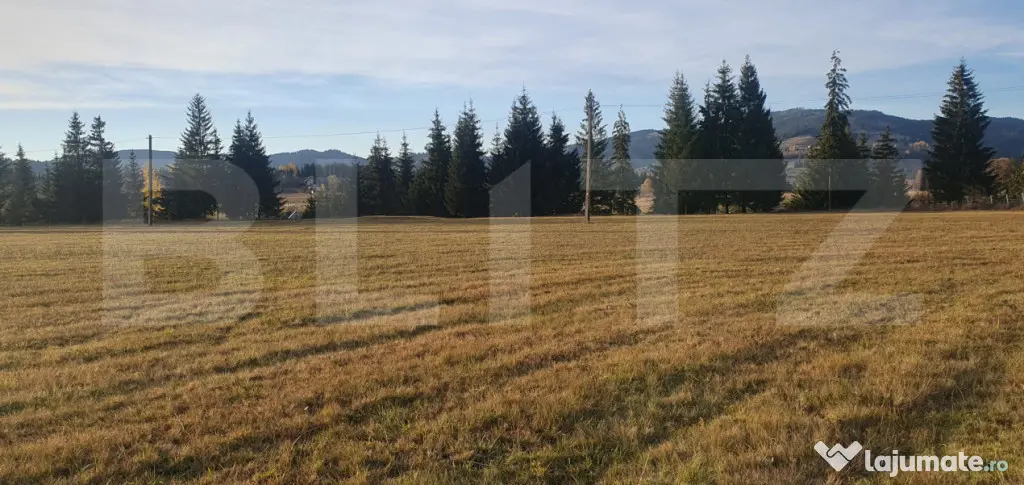 Teren extravilan, 9031 mp, zona Panaci - Vatra Dornei - Vatra Dornei (Suceava)