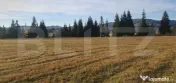 Teren extravilan, 9031 mp, zona Panaci - Vatra Dornei