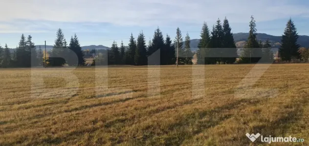 Teren extravilan, 9031 mp, zona Panaci - Vatra Dornei - Vatra Dornei (Suceava)