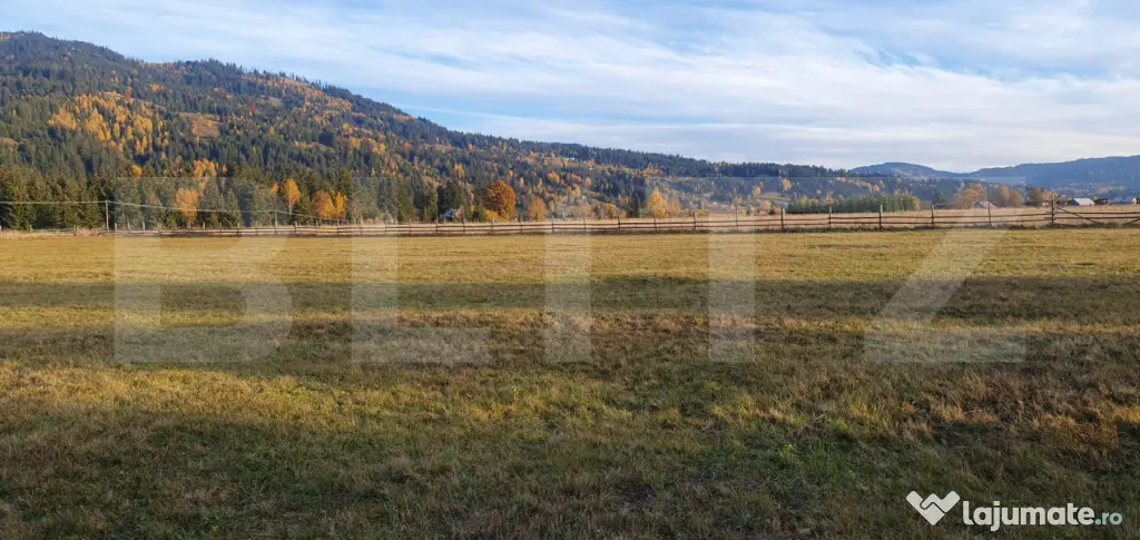 Teren extravilan, 9031 mp, zona Panaci - Vatra Dornei - Vatra Dornei (Suceava)