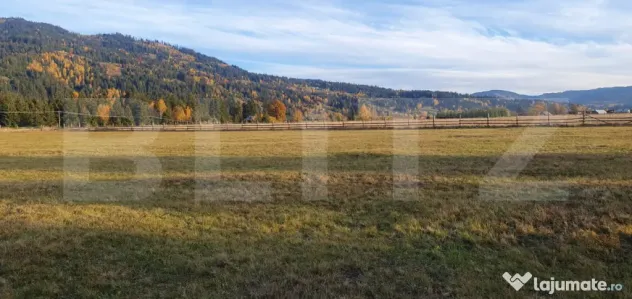 Teren extravilan, 9031 mp, zona Panaci - Vatra Dornei - Vatra Dornei (Suceava)