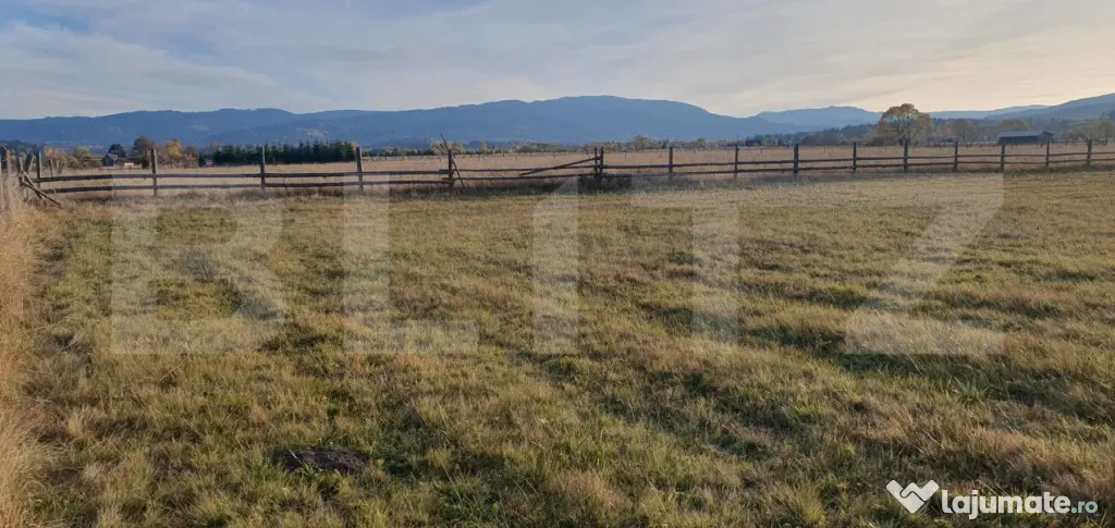 Teren extravilan, 9031 mp, zona Panaci - Vatra Dornei - Vatra Dornei (Suceava)