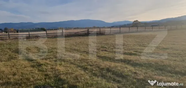 Teren extravilan, 9031 mp, zona Panaci - Vatra Dornei - Vatra Dornei (Suceava)