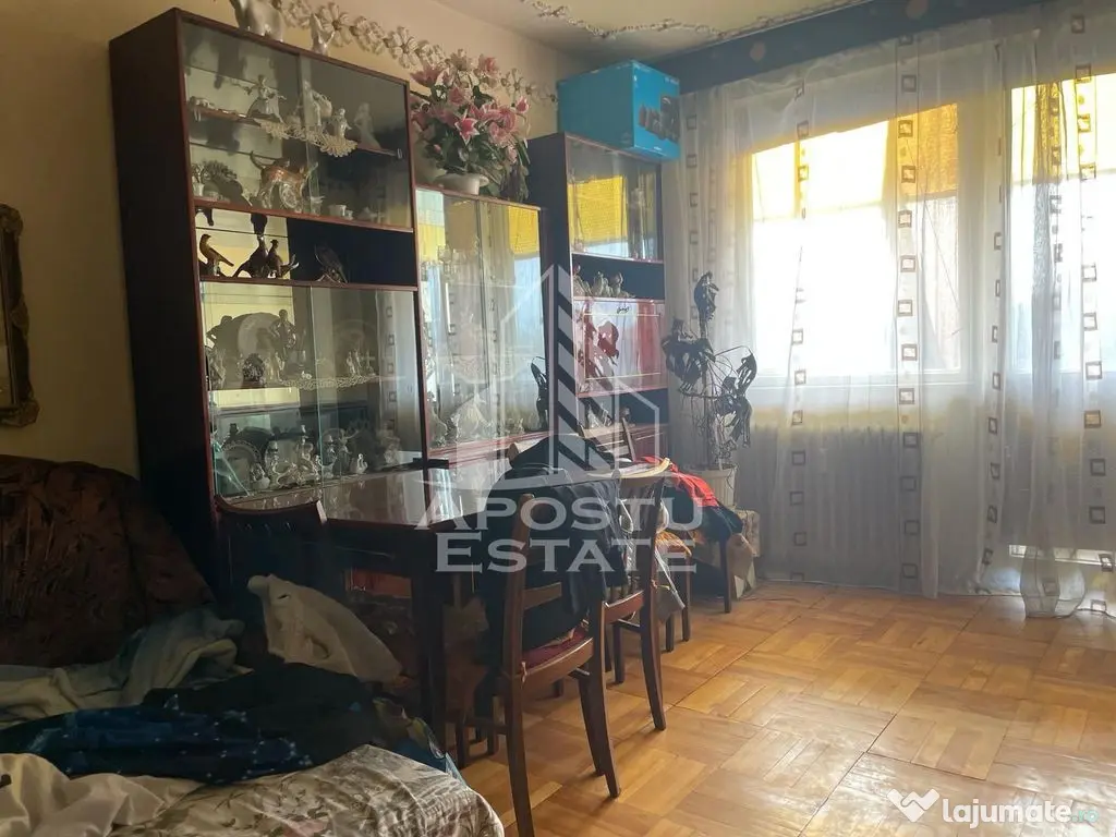 APOSTU ESTATE - Apartament 4 Camere Central - Zona Podgoria - Arad (Arad)