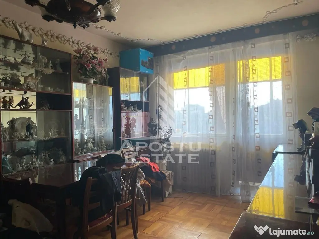 APOSTU ESTATE - Apartament 4 Camere Central - Zona Podgoria - Arad (Arad)
