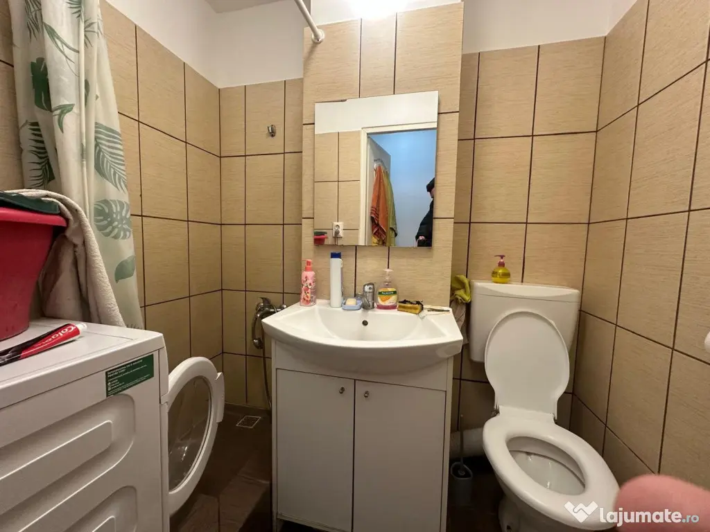 2 camere | etaj 2 | mobilat si utilat | renovat | - Timisoara (Timis)