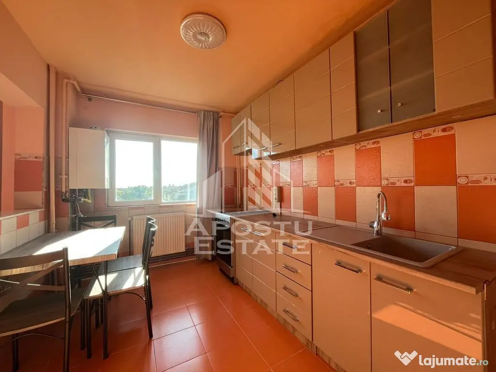Apartament 4 camere, Malul Muresului - Arad (Arad)
