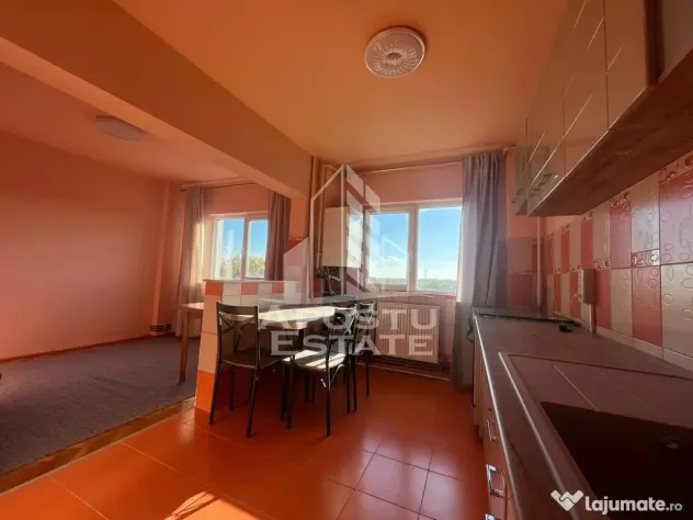 Apartament 4 camere, Malul Muresului - Arad (Arad)