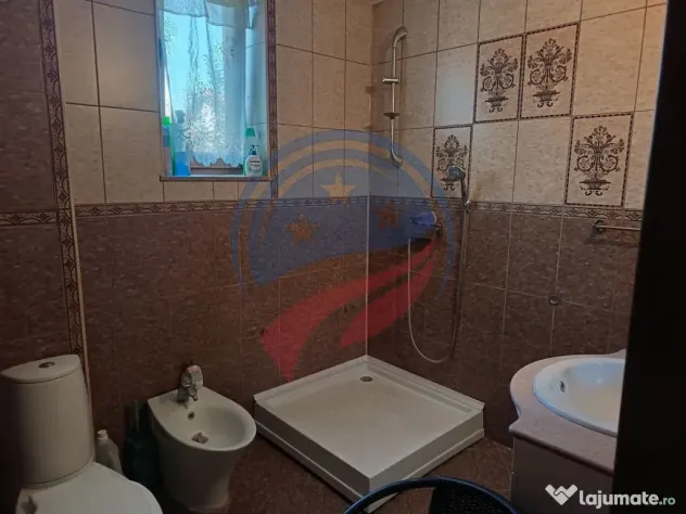Proprietate de lux 7 camere, zona Muntenilor, 495 mp teren - Craiova (Dolj)