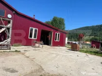Hale de vânzare, 295 mp, zona Nord - Frasin