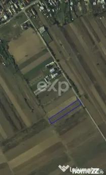 TEREN DE VÂNZARE ÎN CAZACI DB – 2.500 MP