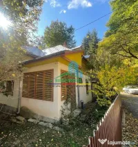 Casă de vacanță în Lepșa 