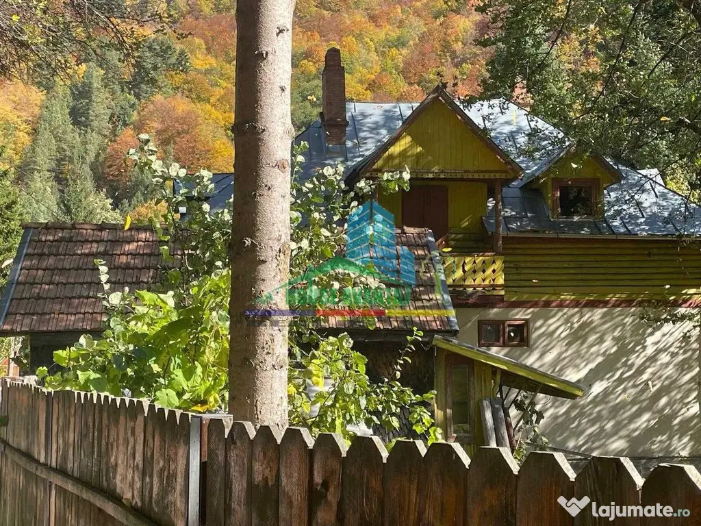 Casă de vacanță în Lepșa - Lepsa (Vrancea)
