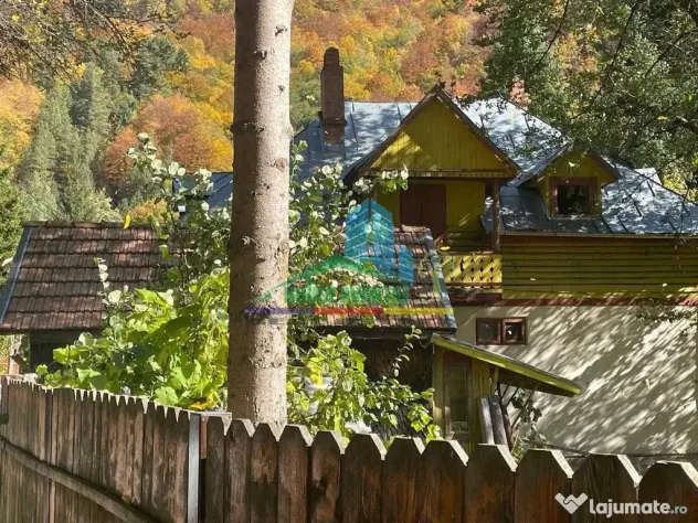 Casă de vacanță în Lepșa - Lepsa (Vrancea)