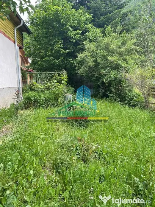 Casă de vacanță în Lepșa - Lepsa (Vrancea)