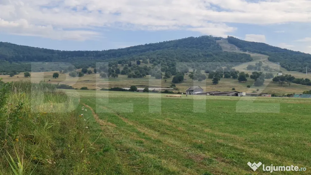Teren extravilan de vânzare – Zona Aerodrom, 50 ari - Bistrita (Bistrita-Nasaud)