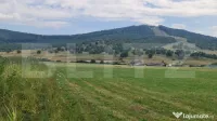 Teren extravilan de vânzare – Zona Aerodrom, 50 ari