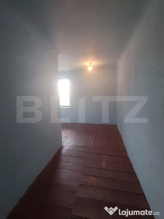 Apartament 3 camere, casa interbelica, elemente originale pr - Timisoara (Timis)