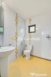 Casă cu teren generos în Mioveni, cartier Colibași
