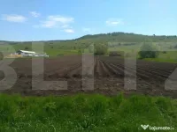 Teren extravilan langa Lisnau 4.8 ha I Investitie agricola