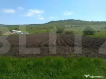 Teren extravilan langa Lisnau 4.8 ha I Investitie agricola