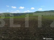 Teren extravilan langa Lisnau 4.8 ha I Investitie agricola 