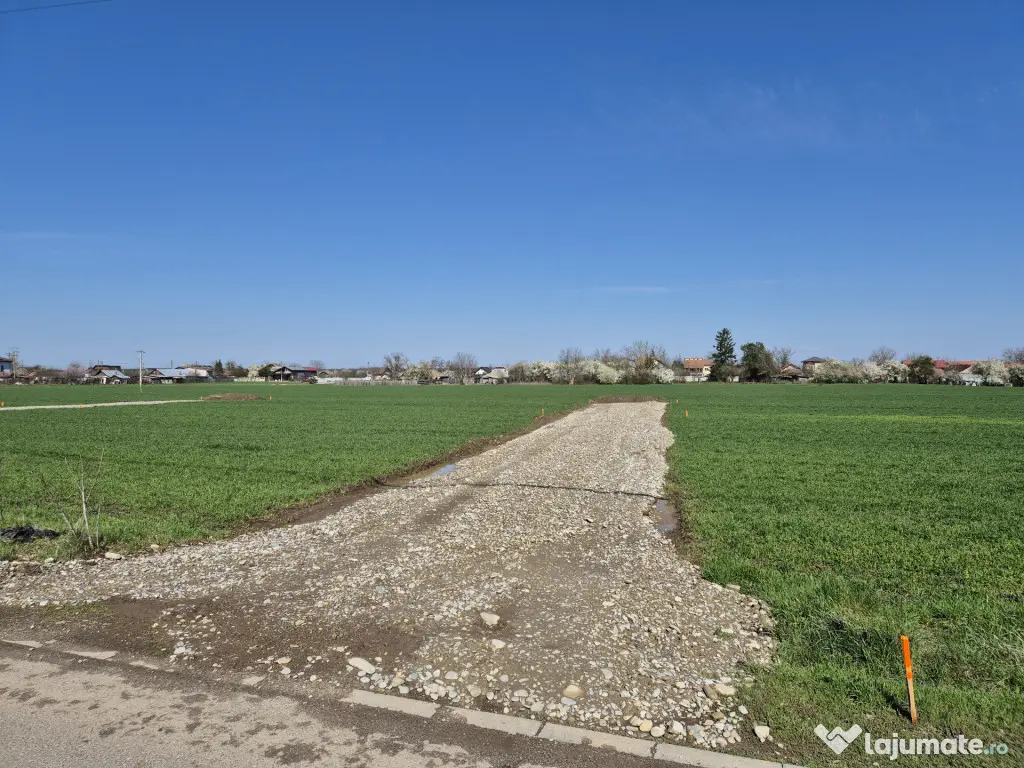 Două loturi de teren de 522mp și 536mp, Snagov-Ciofliceni - Snagov (Bucuresti-Ilfov)