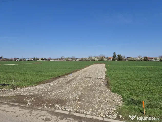 Două loturi de teren de 522mp și 536mp, Snagov-Ciofliceni - Snagov (Bucuresti-Ilfov)
