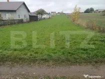 Teren de vânzare intravilan, 26 ari, Lisaura