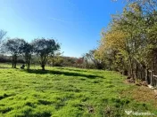 Casa cu teren intravilan si extravilan 9000 mp
