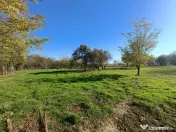 Casa cu teren intravilan si extravilan 9000 mp