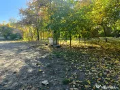 Casa cu teren intravilan si extravilan 9000 mp