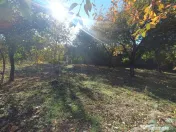 Casa cu teren intravilan si extravilan 9000 mp