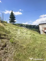 Casă de vacanță la Arieșeni/2 km de Pârtia Vârtop/280MP/1000MP TEREN 