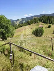 Casă de vacanță la Arieșeni/2 km de Pârtia Vârtop/280MP/1000MP TEREN 